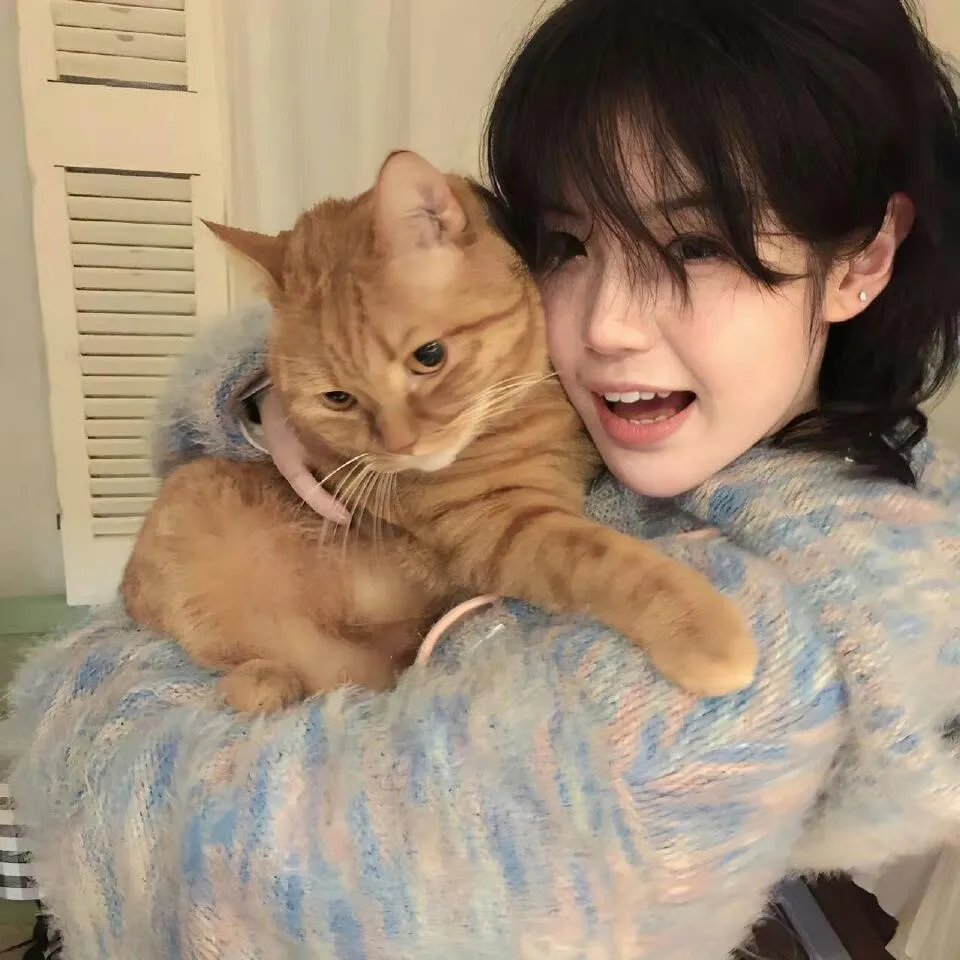 解忧之拯救大作战